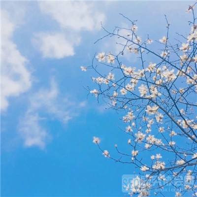 雅典娜战纪内购破解版下载